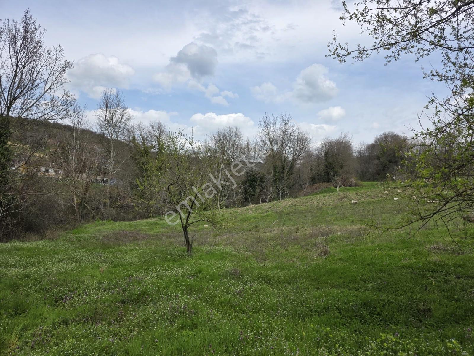 İnegöl Yiğit Köyde Satılık Arsa 574 Metre — fotoğraf 5