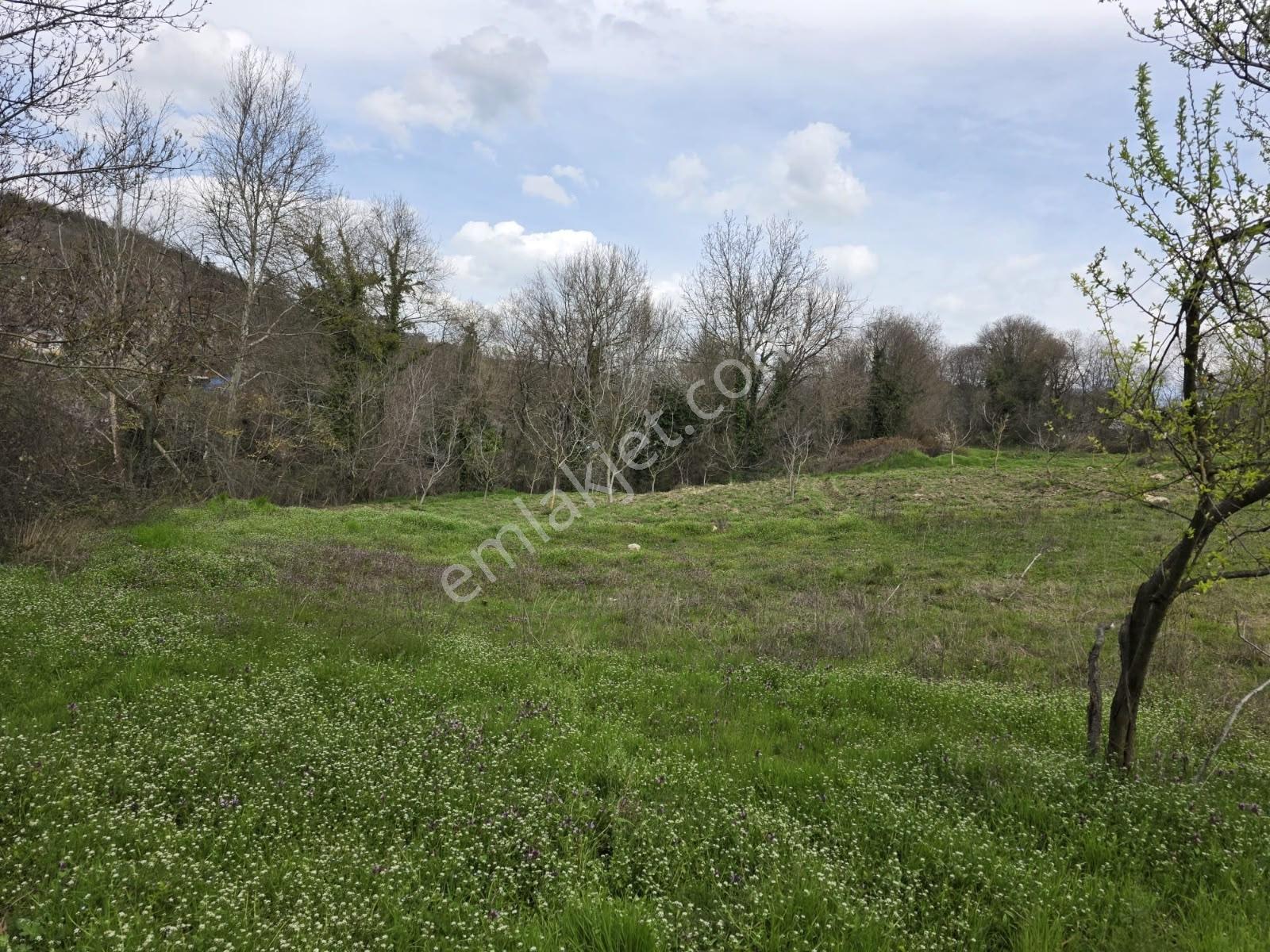 İnegöl Yiğit Köyde Satılık Arsa 574 Metre — fotoğraf 6