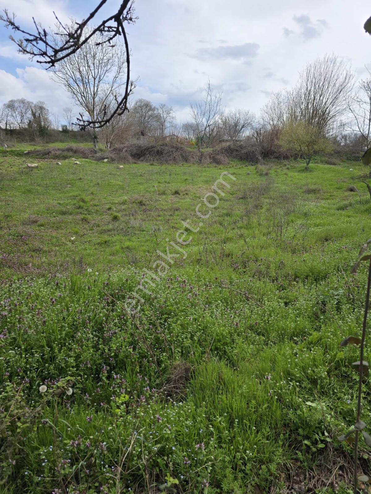 İnegöl Yiğit Köyde Satılık Arsa 574 Metre — fotoğraf 7