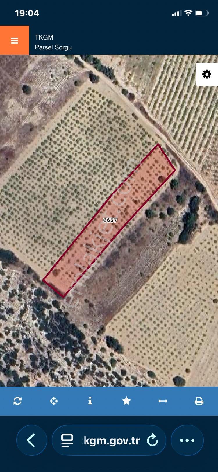 Denizli Çal Ortaköy Mahallesi Satılık 3.300m2 Müstakil Tapulu Üzüm Bağı — fotoğraf 8