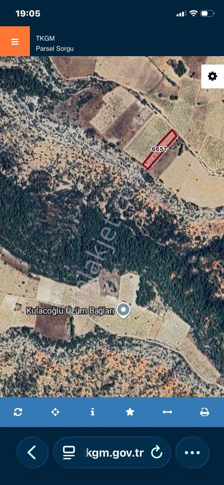 Denizli Çal Ortaköy Mahallesi Satılık 3.300m2 Müstakil Tapulu Üzüm Bağı — fotoğraf 9