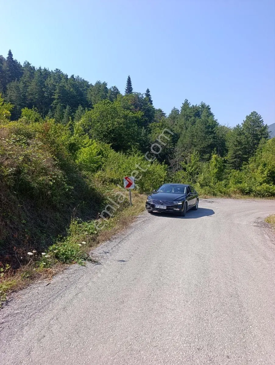 Yine *zeybek'*den 8.043.m2 + Villa+ Konut İmarli Köy İçi — fotoğraf 3