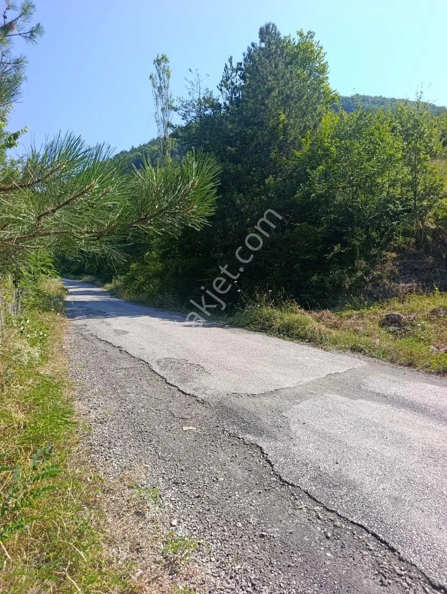 Yine *zeybek'*den 8.043.m2 + Villa+ Konut İmarli Köy İçi — fotoğraf 4