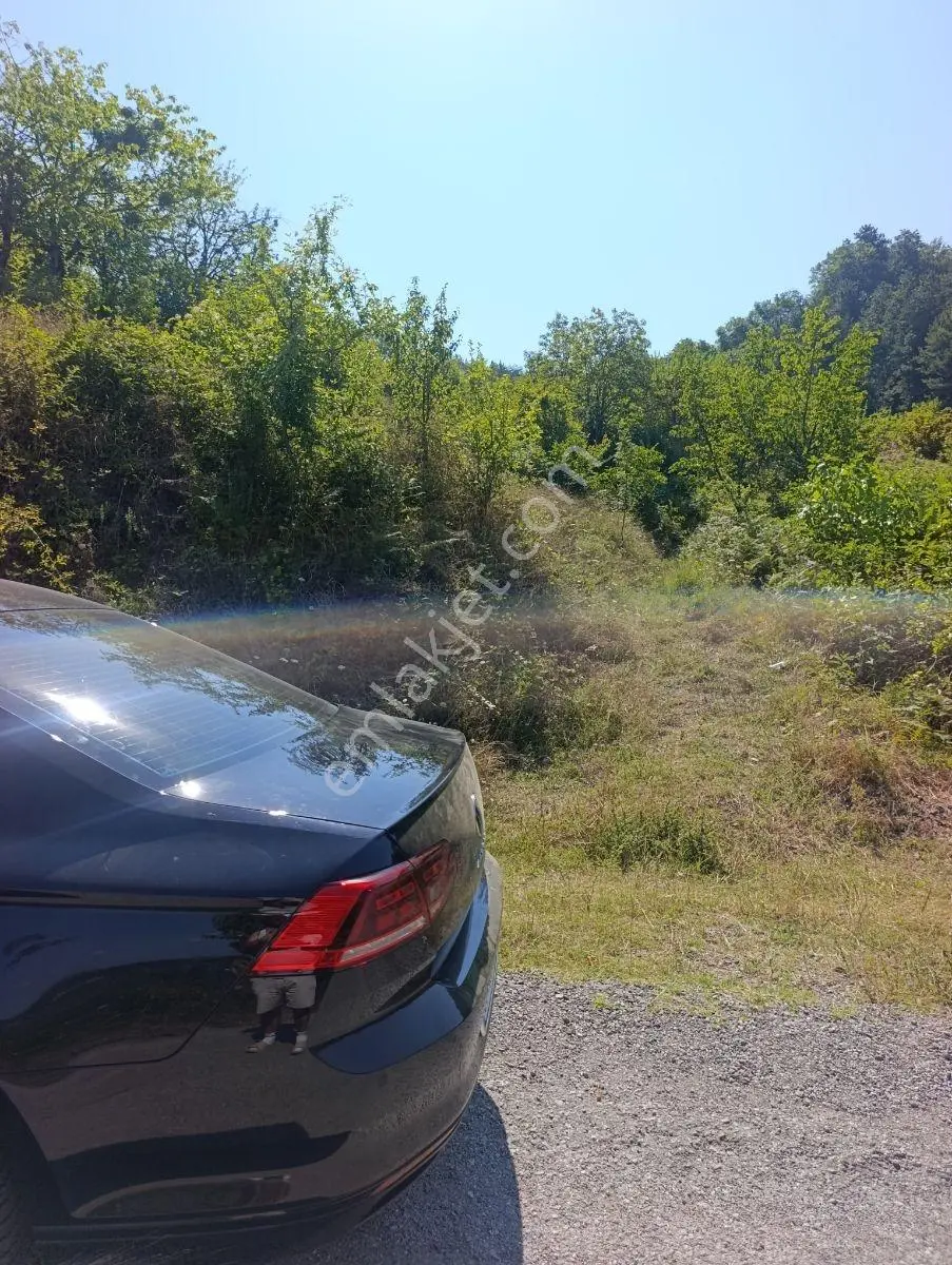 Yine *zeybek'*den 8.043.m2 + Villa+ Konut İmarli Köy İçi — fotoğraf 5