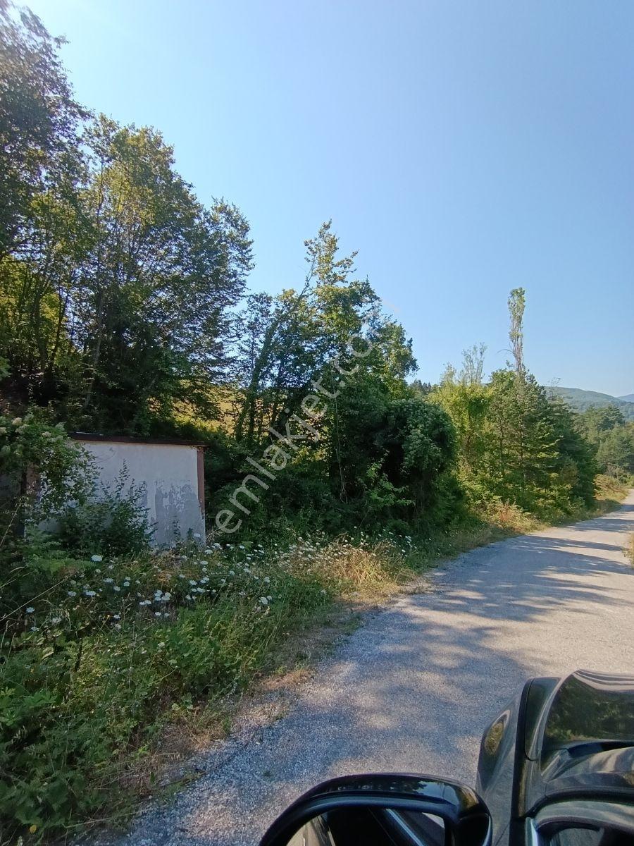 Yine *zeybek'*den 8.043.m2 + Villa+ Konut İmarli Köy İçi — fotoğraf 6