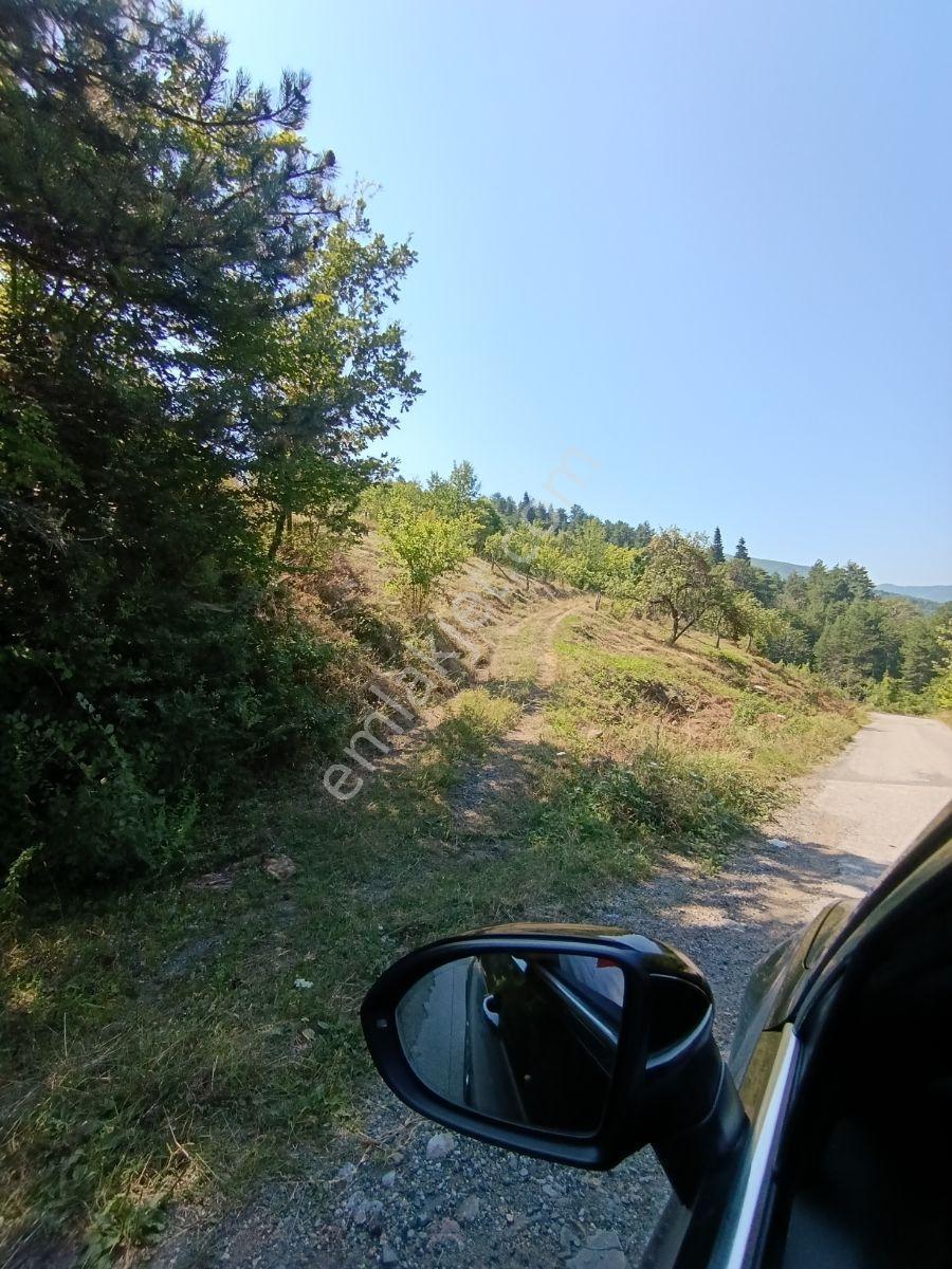 Yine *zeybek'*den 8.043.m2 + Villa+ Konut İmarli Köy İçi — fotoğraf 7