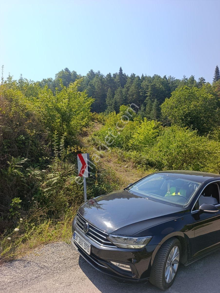 Yine *zeybek'*den 8.043.m2 + Villa+ Konut İmarli Köy İçi — fotoğraf 8