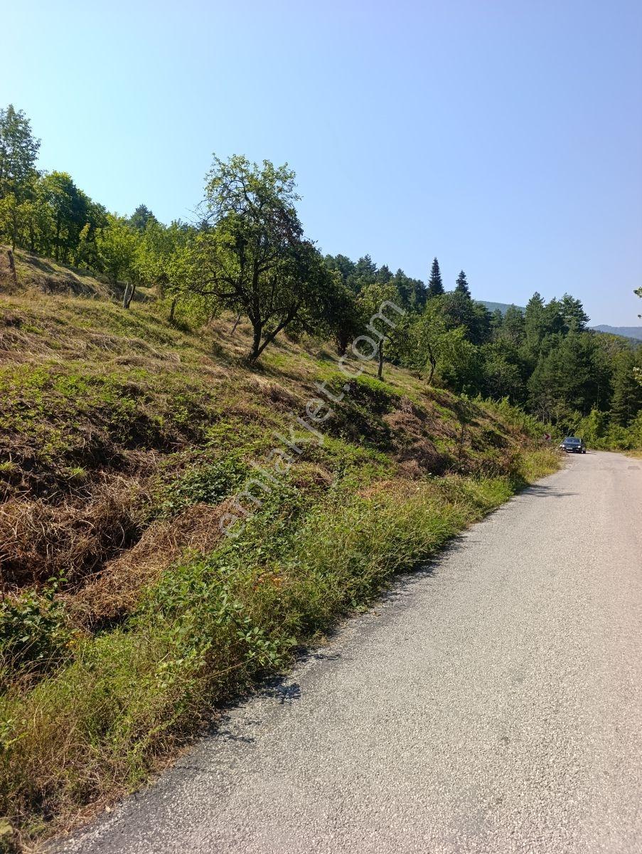 Yine *zeybek'*den 8.043.m2 + Villa+ Konut İmarli Köy İçi — fotoğraf 9