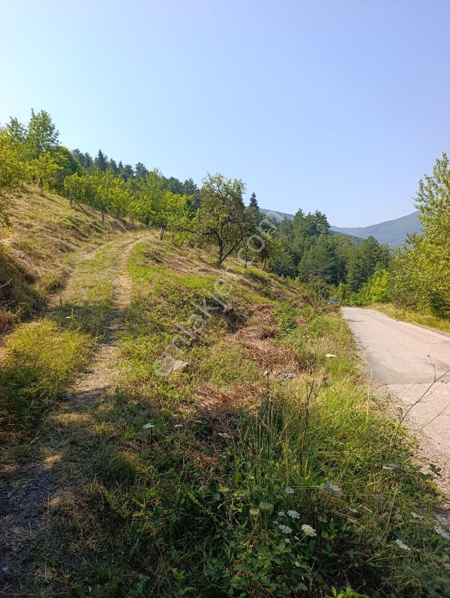 Yine *zeybek'*den 8.043.m2 + Villa+ Konut İmarli Köy İçi — fotoğraf 10