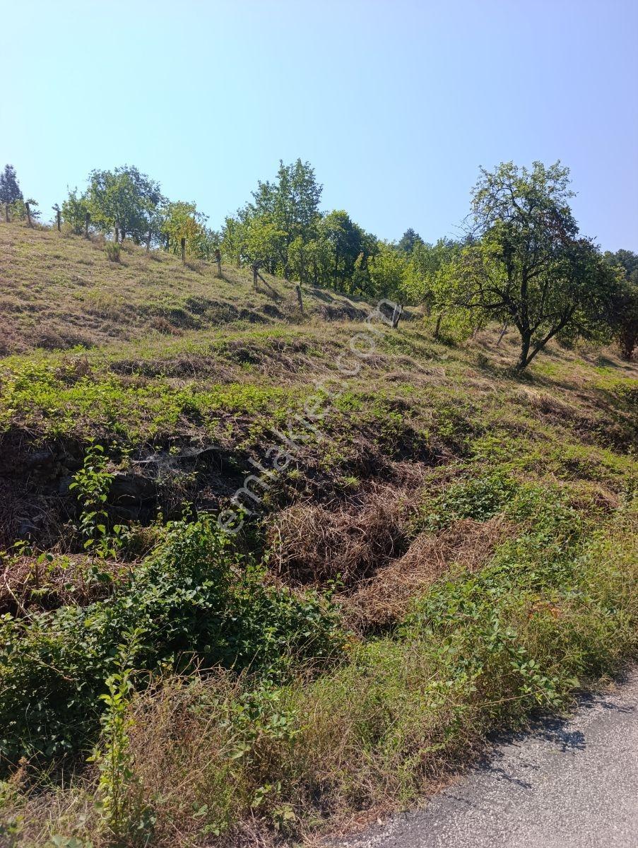 Yine *zeybek'*den 8.043.m2 + Villa+ Konut İmarli Köy İçi — fotoğraf 12