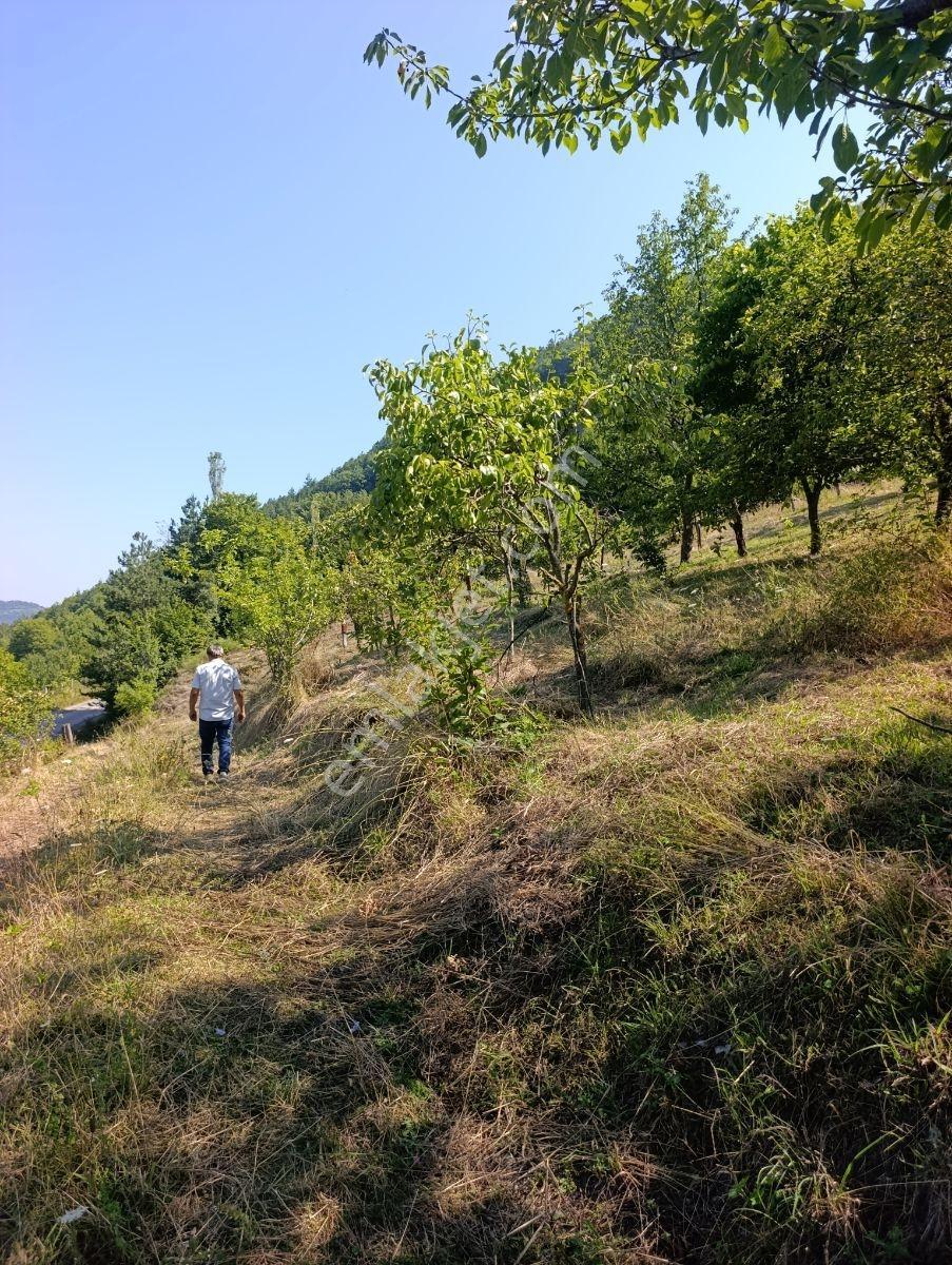 Yine *zeybek'*den 8.043.m2 + Villa+ Konut İmarli Köy İçi — fotoğraf 13