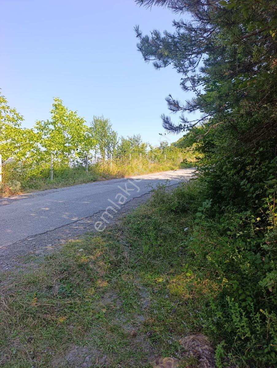 Yine *zeybek'*den 8.043.m2 + Villa+ Konut İmarli Köy İçi — fotoğraf 14