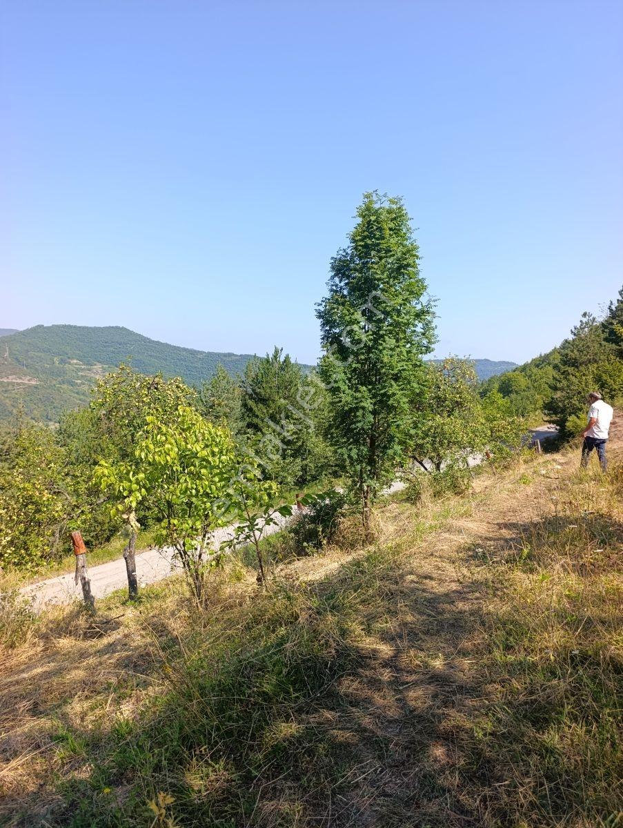 Yine *zeybek'*den 8.043.m2 + Villa+ Konut İmarli Köy İçi — fotoğraf 15