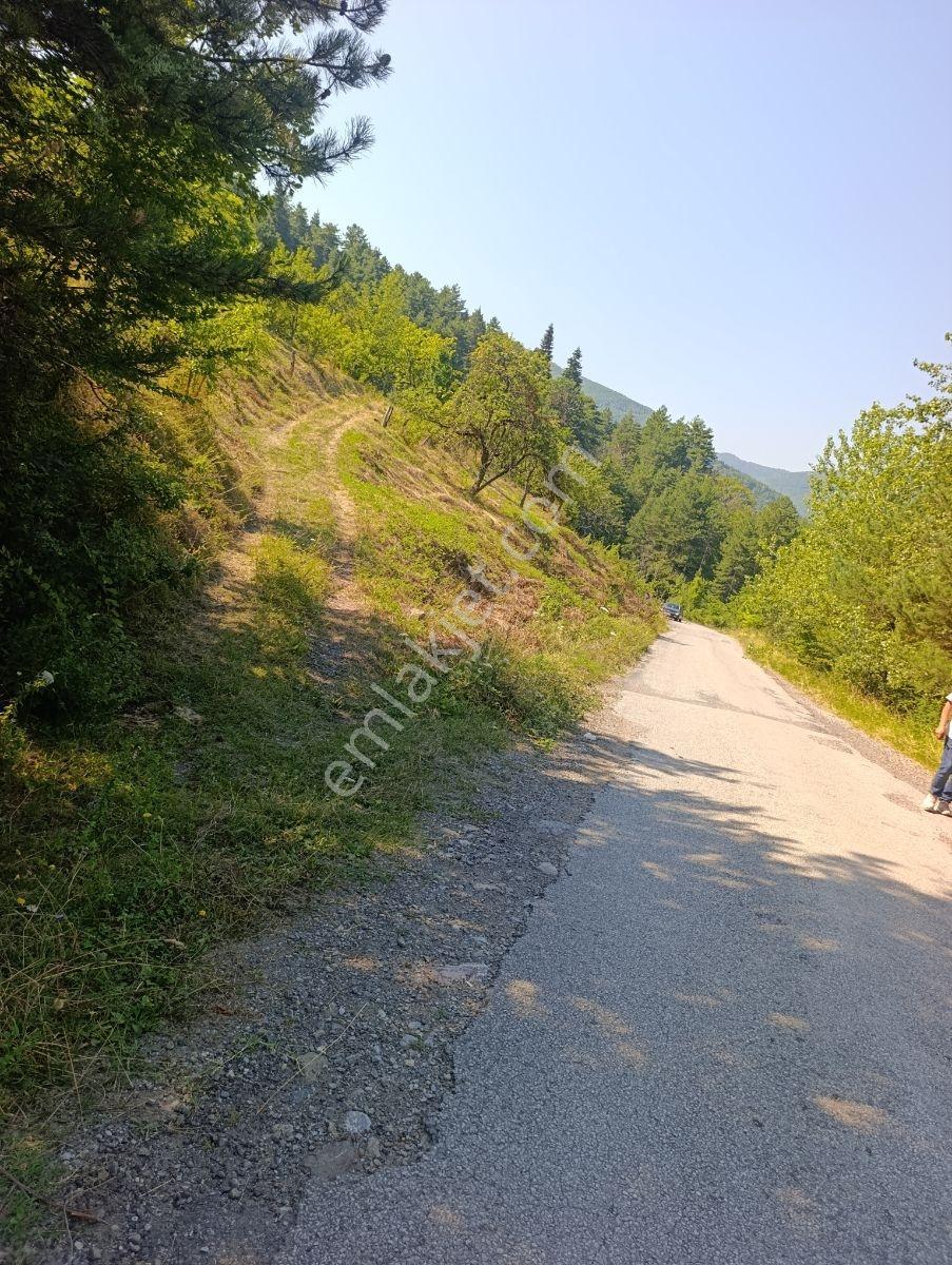 Yine *zeybek'*den 8.043.m2 + Villa+ Konut İmarli Köy İçi — fotoğraf 16