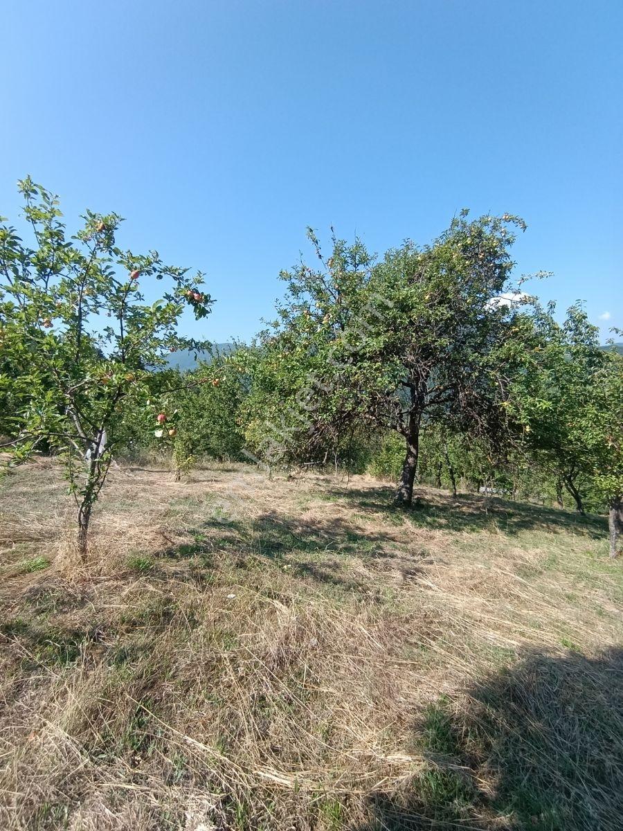 Yine *zeybek'*den 8.043.m2 + Villa+ Konut İmarli Köy İçi — fotoğraf 18