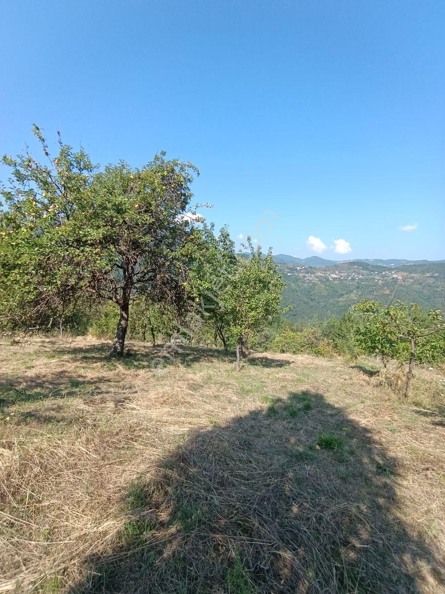 Yine *zeybek'*den 8.043.m2 + Villa+ Konut İmarli Köy İçi — fotoğraf 21