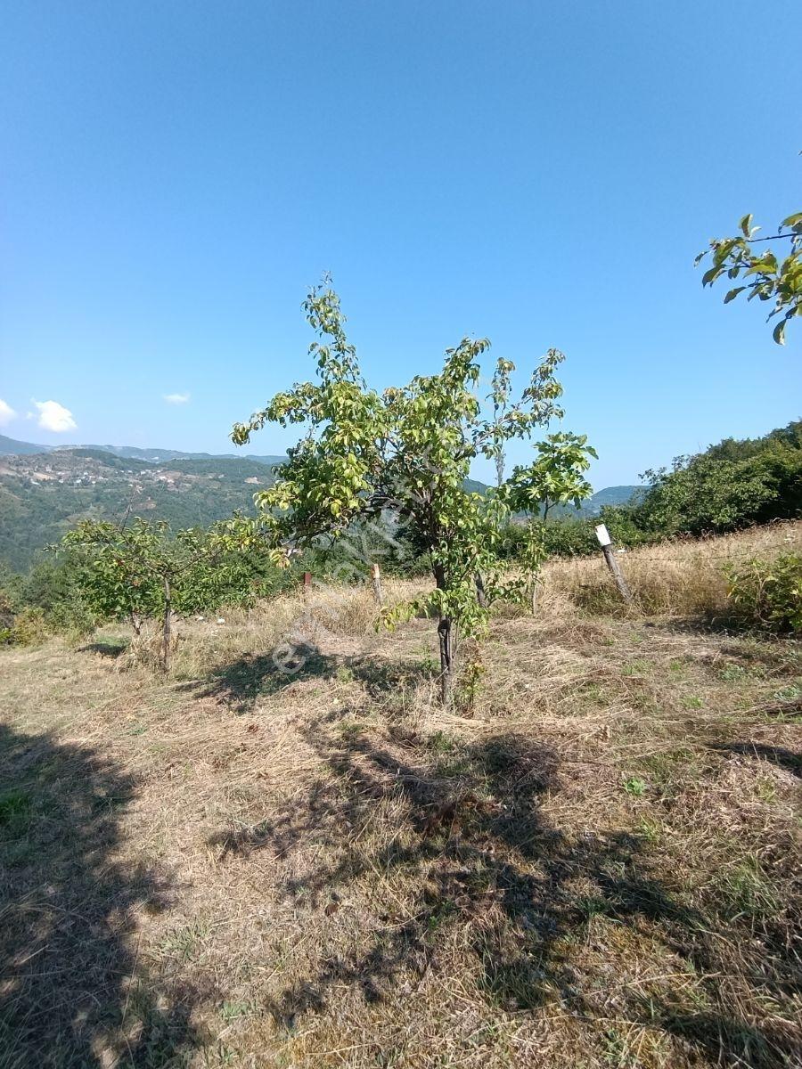 Yine *zeybek'*den 8.043.m2 + Villa+ Konut İmarli Köy İçi — fotoğraf 22