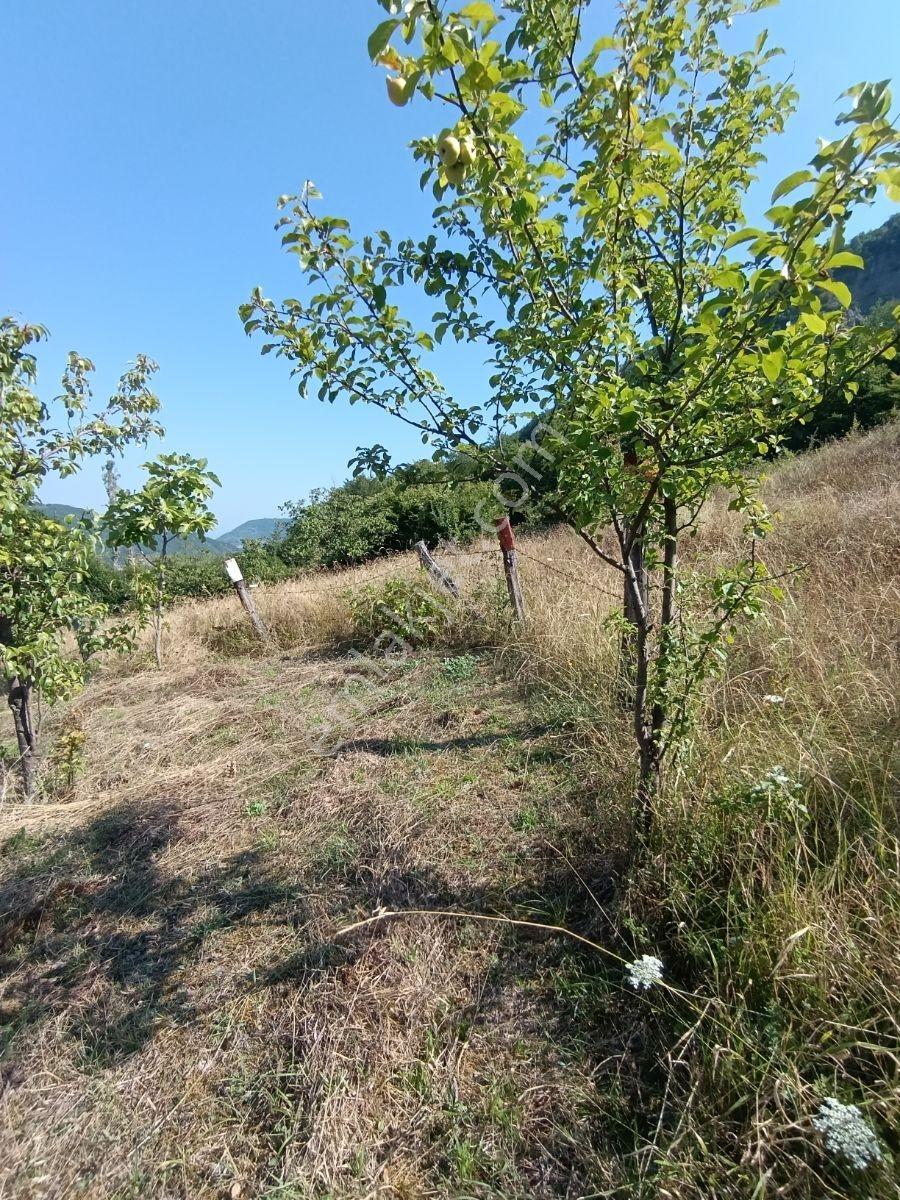 Yine *zeybek'*den 8.043.m2 + Villa+ Konut İmarli Köy İçi — fotoğraf 23