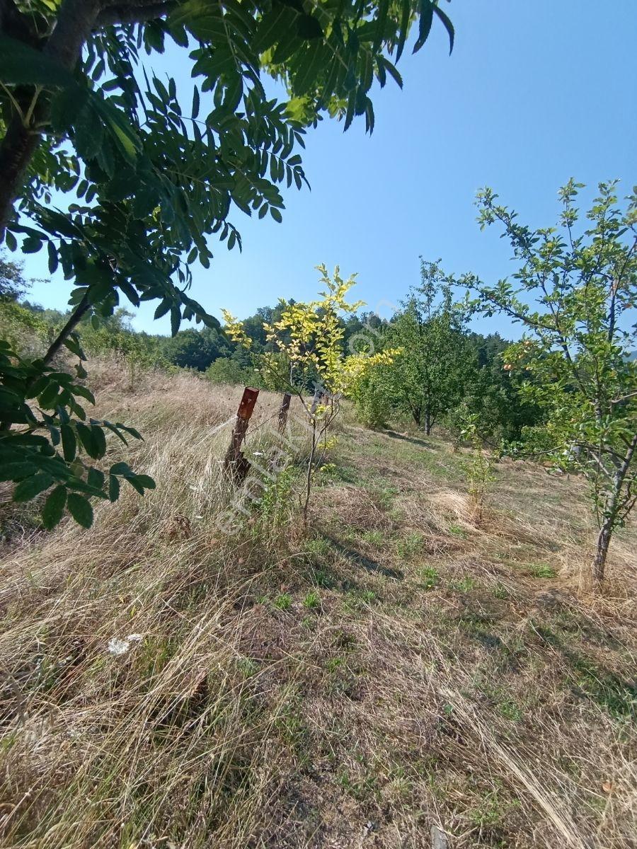 Yine *zeybek'*den 8.043.m2 + Villa+ Konut İmarli Köy İçi — fotoğraf 25