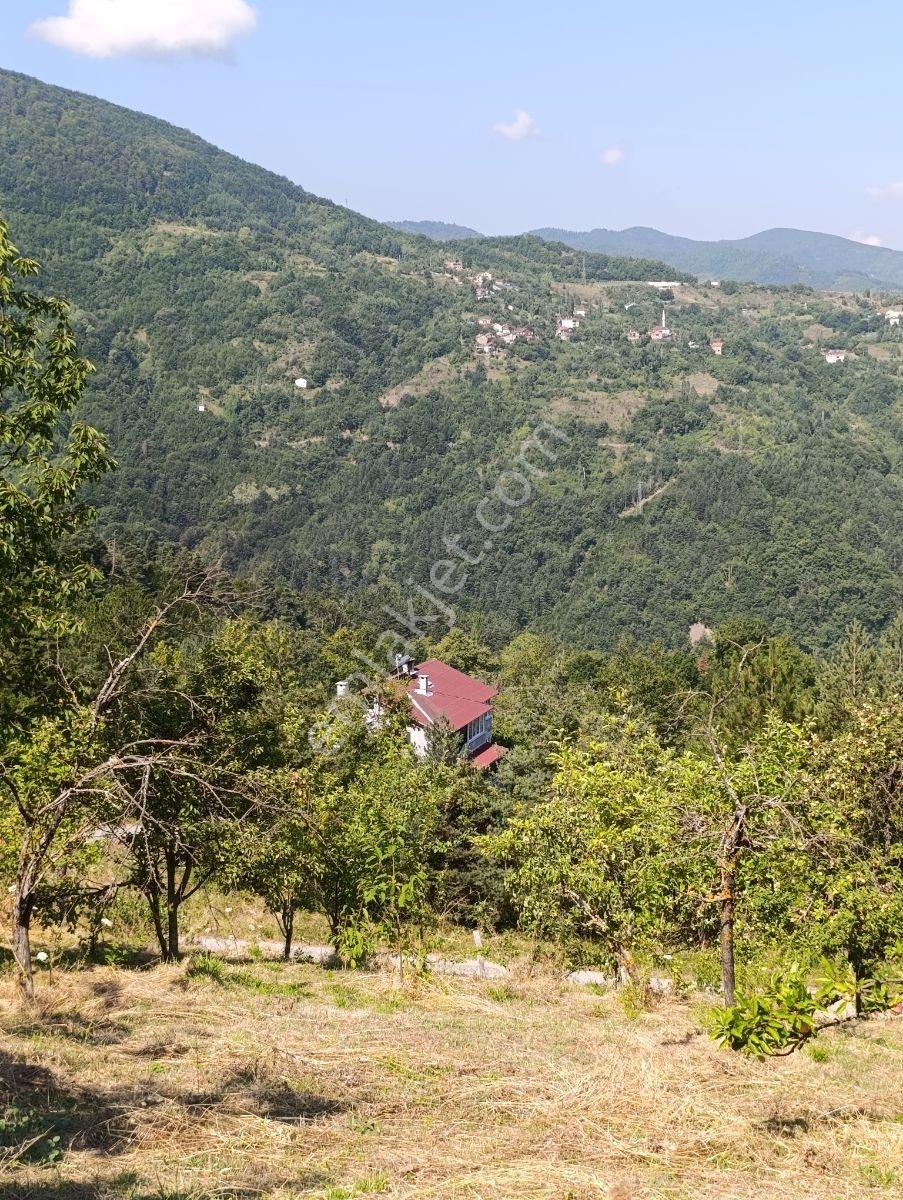 Yine *zeybek'*den 8.043.m2 + Villa+ Konut İmarli Köy İçi — fotoğraf 26