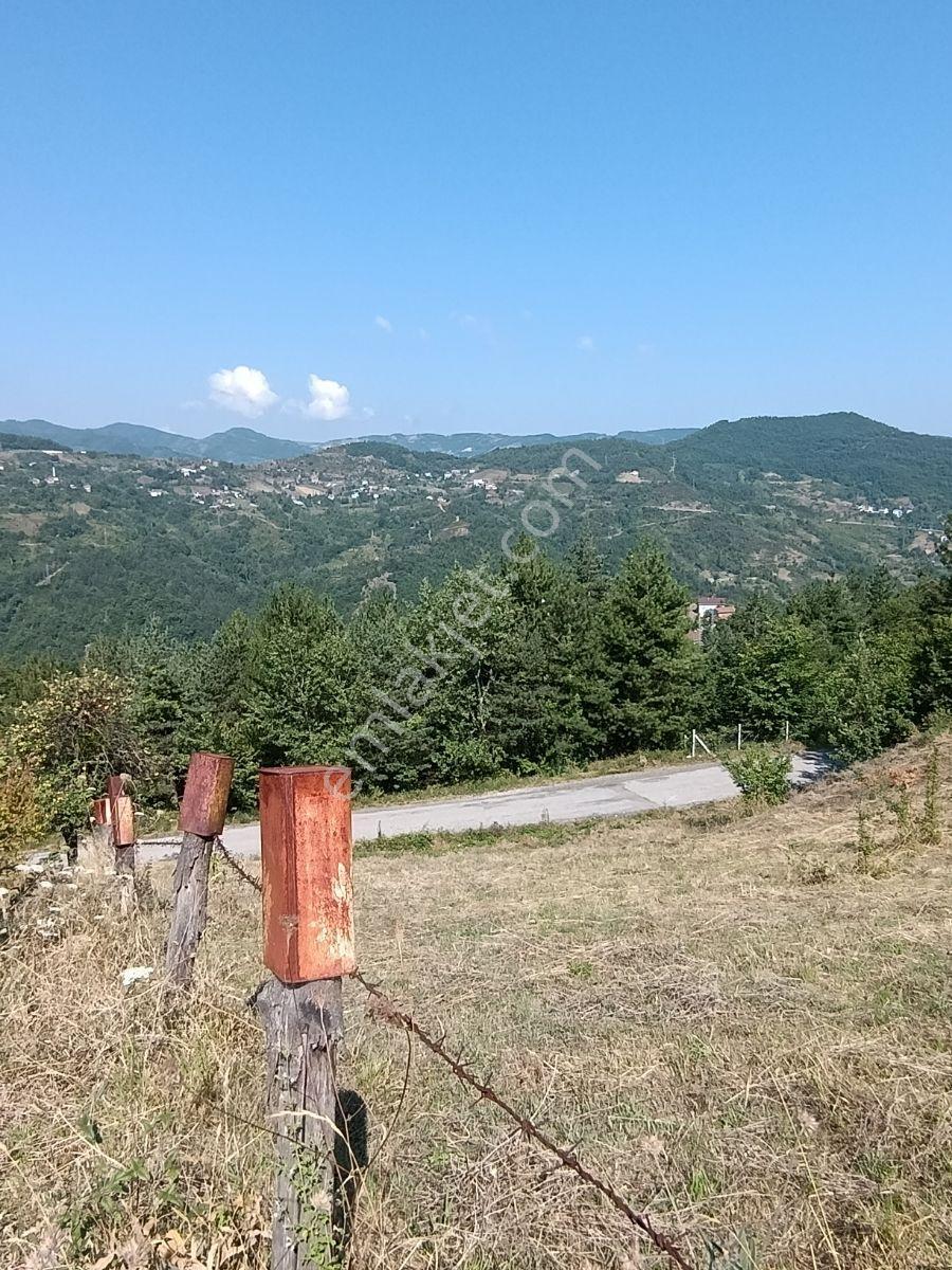 Yine *zeybek'*den 8.043.m2 + Villa+ Konut İmarli Köy İçi — fotoğraf 27