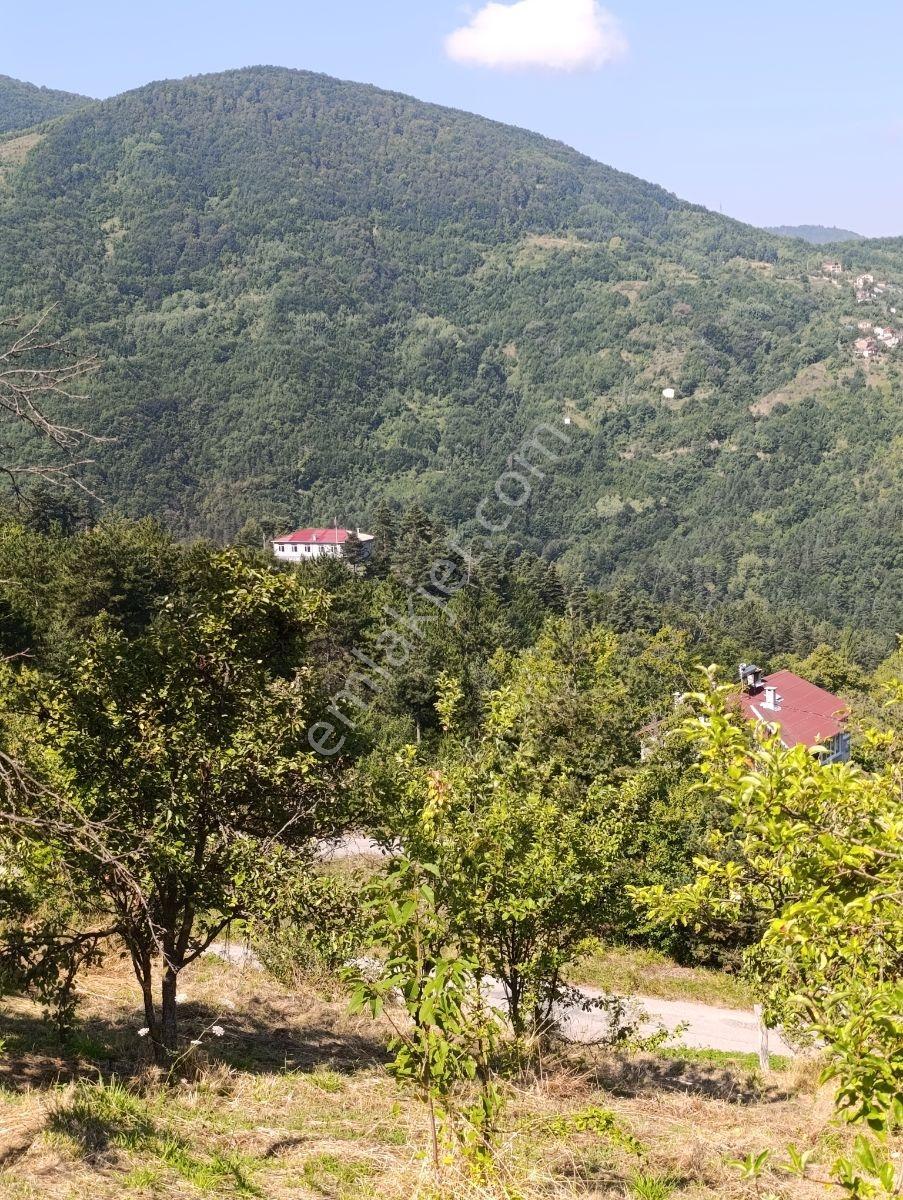 Yine *zeybek'*den 8.043.m2 + Villa+ Konut İmarli Köy İçi — fotoğraf 29