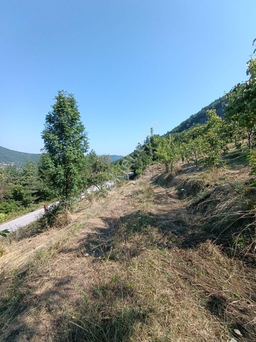 Yine *zeybek'*den 8.043.m2 + Villa+ Konut İmarli Köy İçi — fotoğraf 31