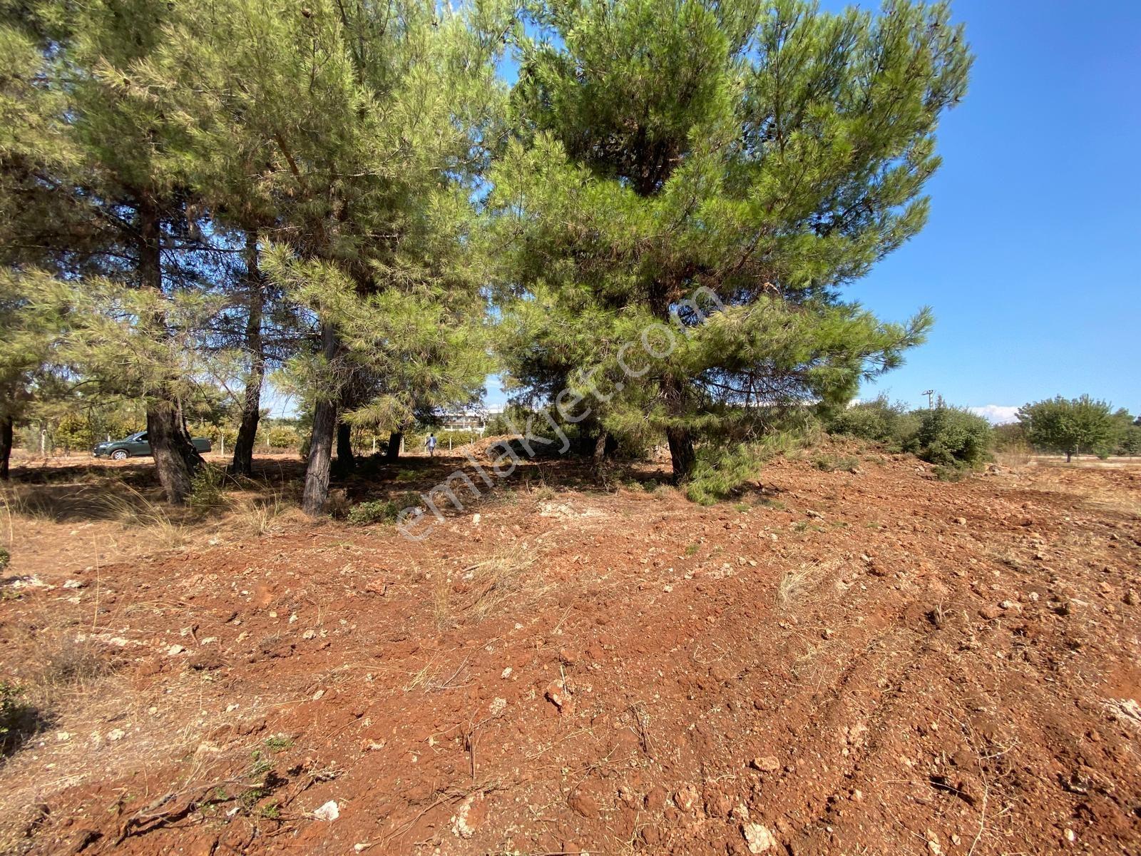 Yeşilbayır Antalyaspor Tesisleri Satılık 640 Metre İmarlı Parsel — fotoğraf 6