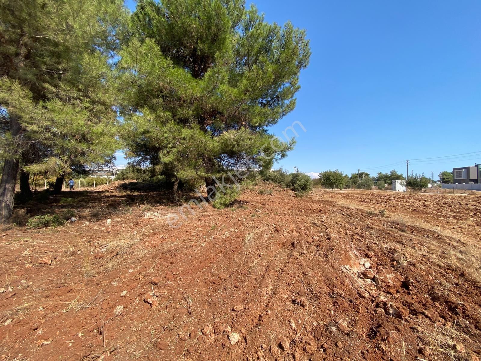 Yeşilbayır Antalyaspor Tesisleri Satılık 640 Metre İmarlı Parsel — fotoğraf 7