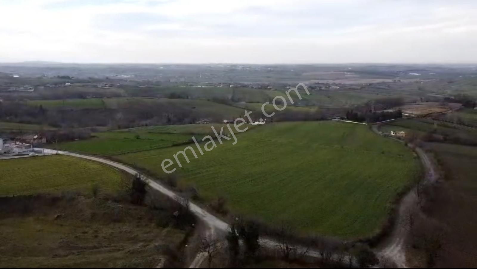 Bulut Emlak 19 Mayıs-çandır Mevkii Satılık Köşe Parsel Tarla. — fotoğraf 3