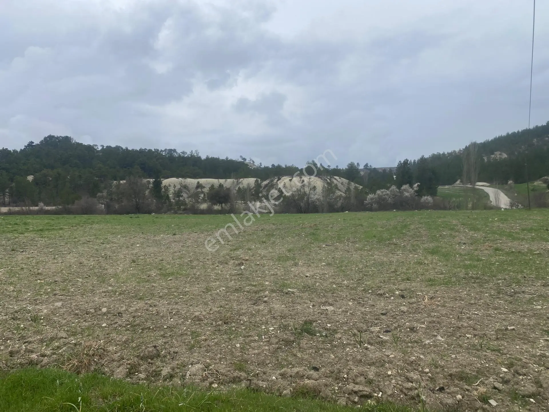 Çameli Bıçakçı'da Satılık 2400 M² Doğa Manzaralı Tarla — fotoğraf 2