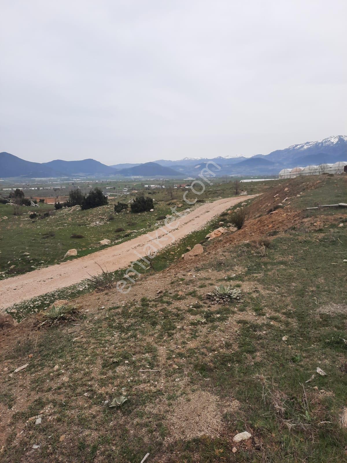 Y. Karaçulha 1249 M2 Tek Tapu Mustakil Arazi — fotoğraf 6