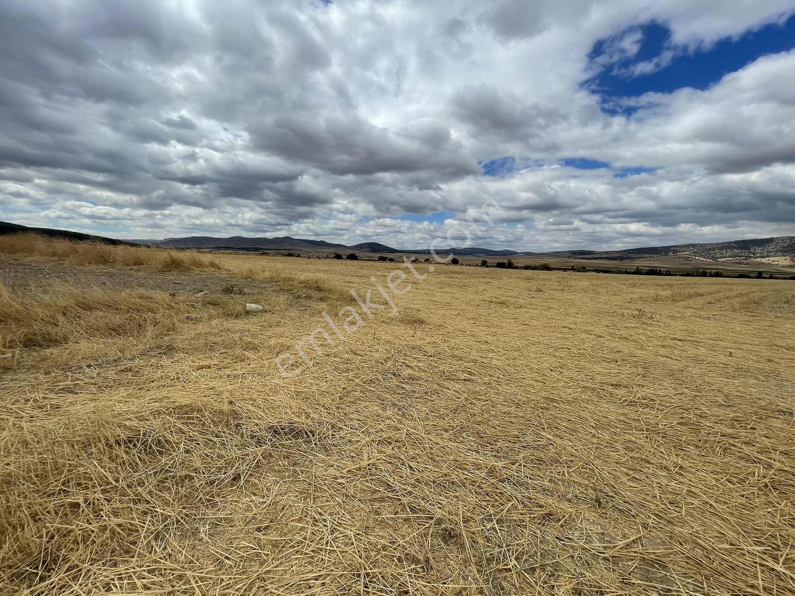 İmar Sınırında 32.600 M2 Dev Arazi Hızlı Tren Ve Ana Yola Yakın — fotoğraf 14