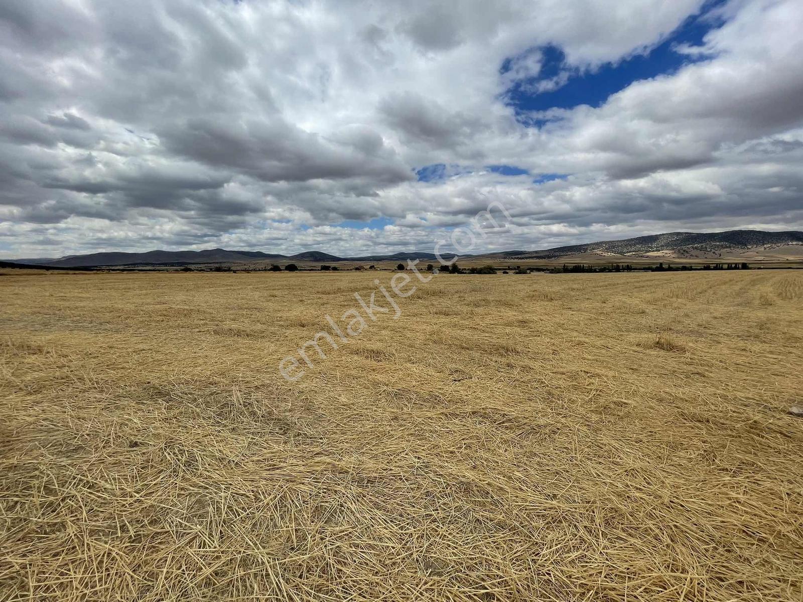 İmar Sınırında 32.600 M2 Dev Arazi Hızlı Tren Ve Ana Yola Yakın — fotoğraf 15