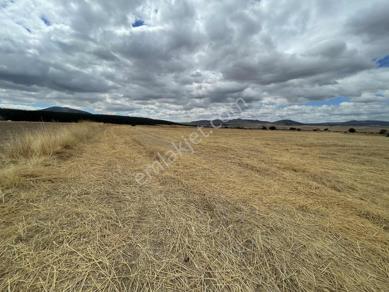 İmar Sınırında 32.600 M2 Dev Arazi Hızlı Tren Ve Ana Yola Yakın — fotoğraf 16