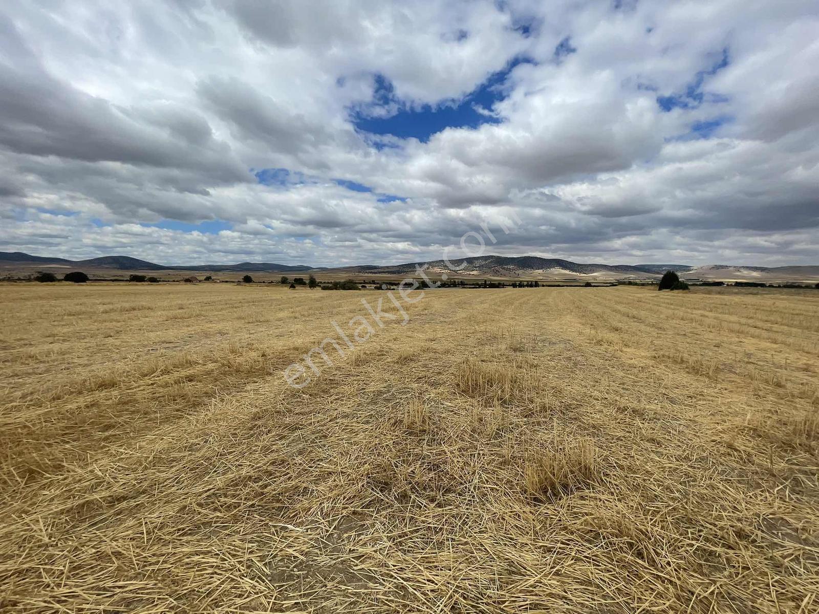 İmar Sınırında 32.600 M2 Dev Arazi Hızlı Tren Ve Ana Yola Yakın — fotoğraf 17