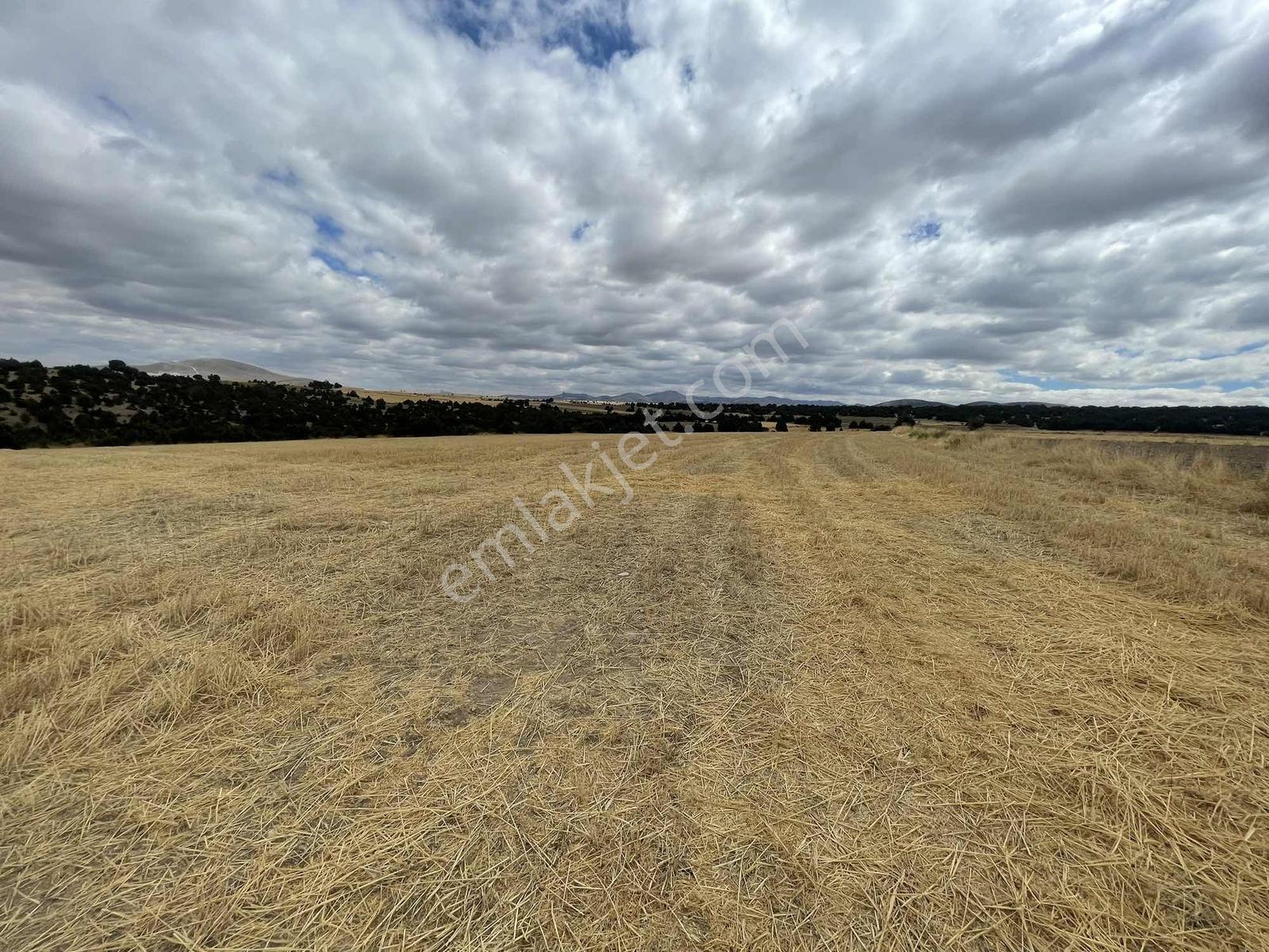 İmar Sınırında 32.600 M2 Dev Arazi Hızlı Tren Ve Ana Yola Yakın — fotoğraf 18