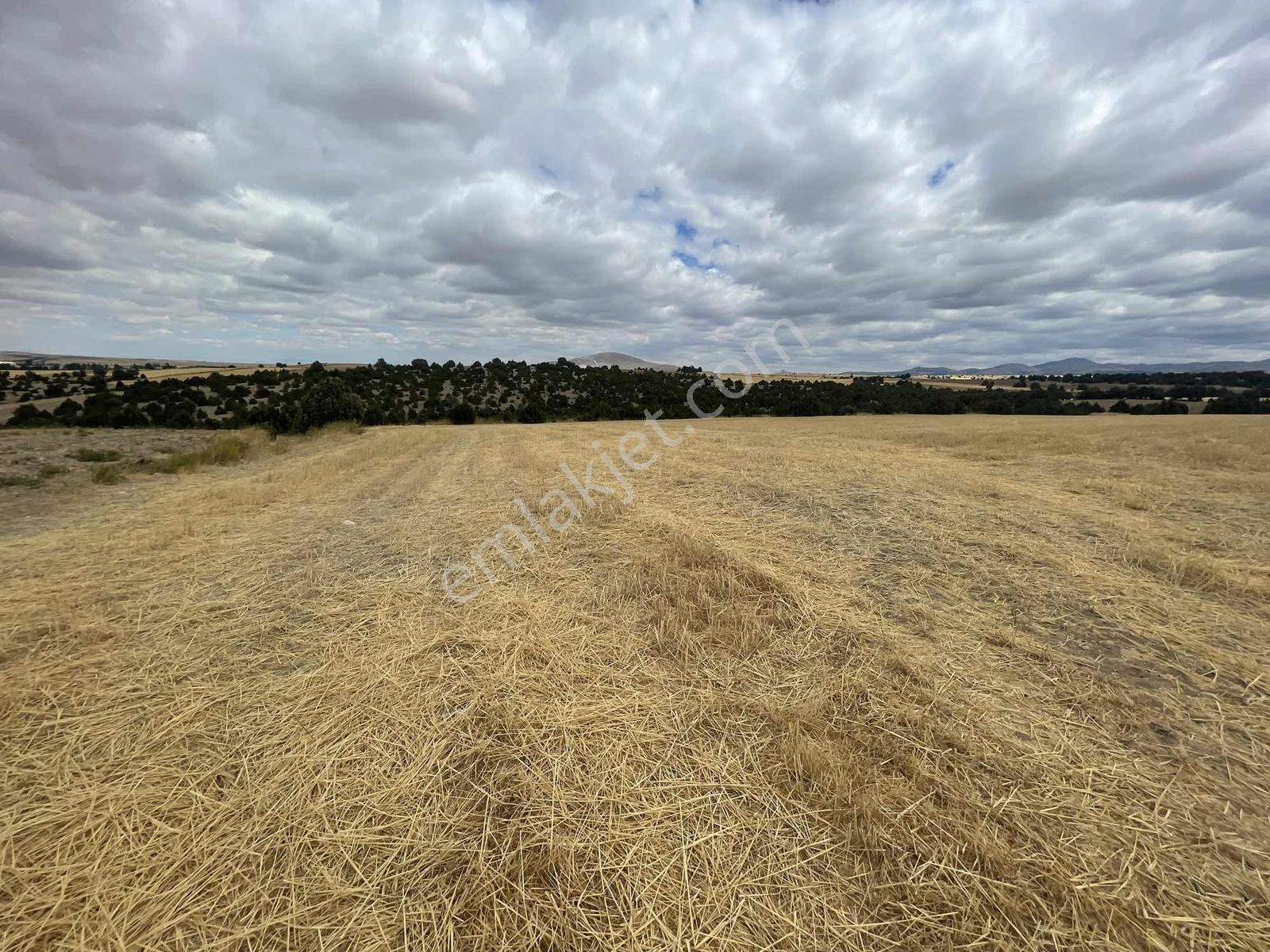 İmar Sınırında 32.600 M2 Dev Arazi Hızlı Tren Ve Ana Yola Yakın — fotoğraf 19