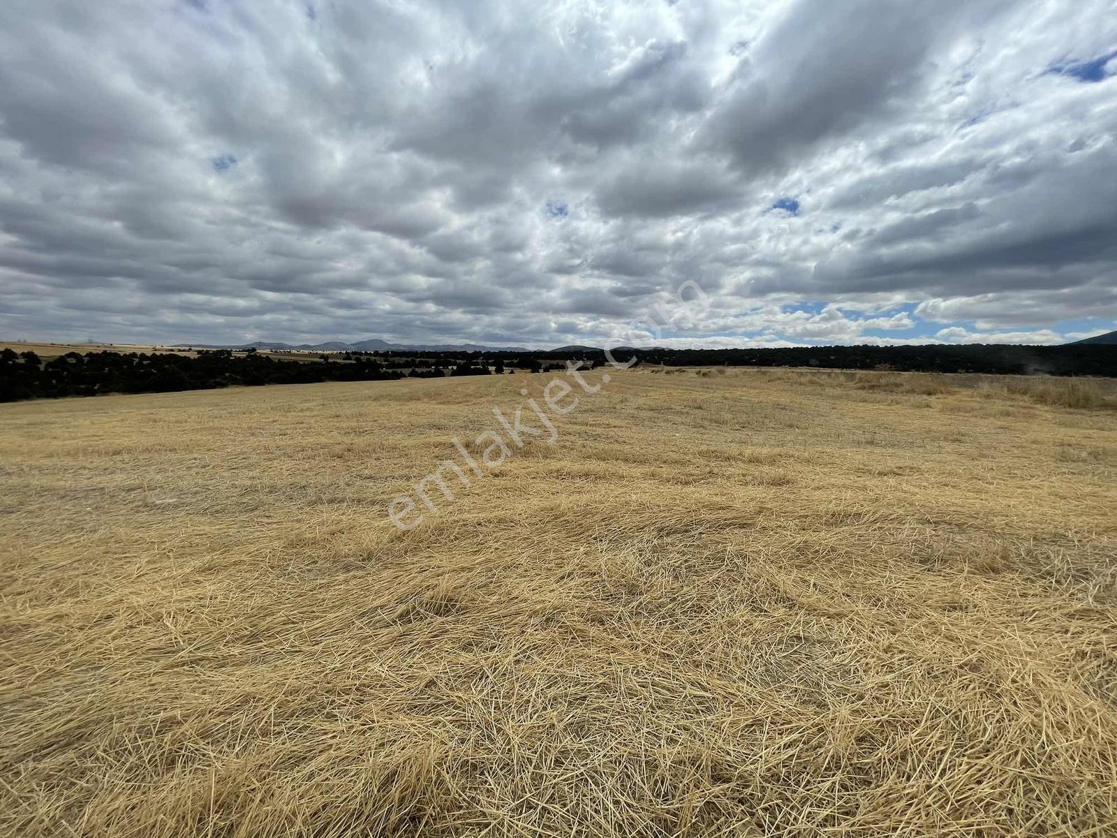İmar Sınırında 32.600 M2 Dev Arazi Hızlı Tren Ve Ana Yola Yakın — fotoğraf 20