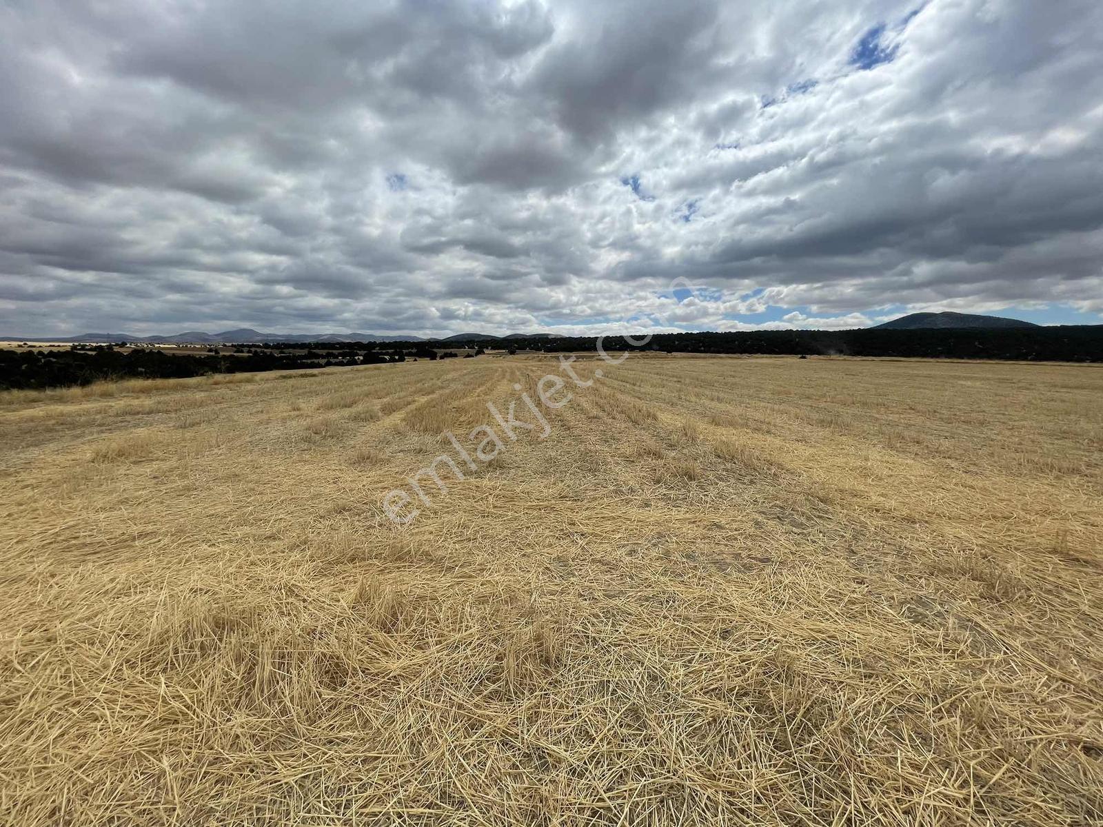 İmar Sınırında 32.600 M2 Dev Arazi Hızlı Tren Ve Ana Yola Yakın — fotoğraf 21