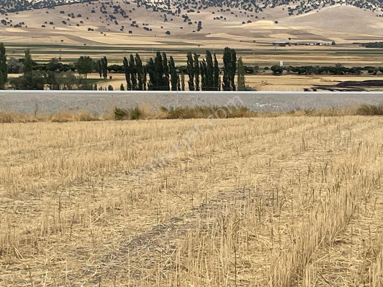 İmar Sınırında 32.600 M2 Dev Arazi Hızlı Tren Ve Ana Yola Yakın — fotoğraf 22
