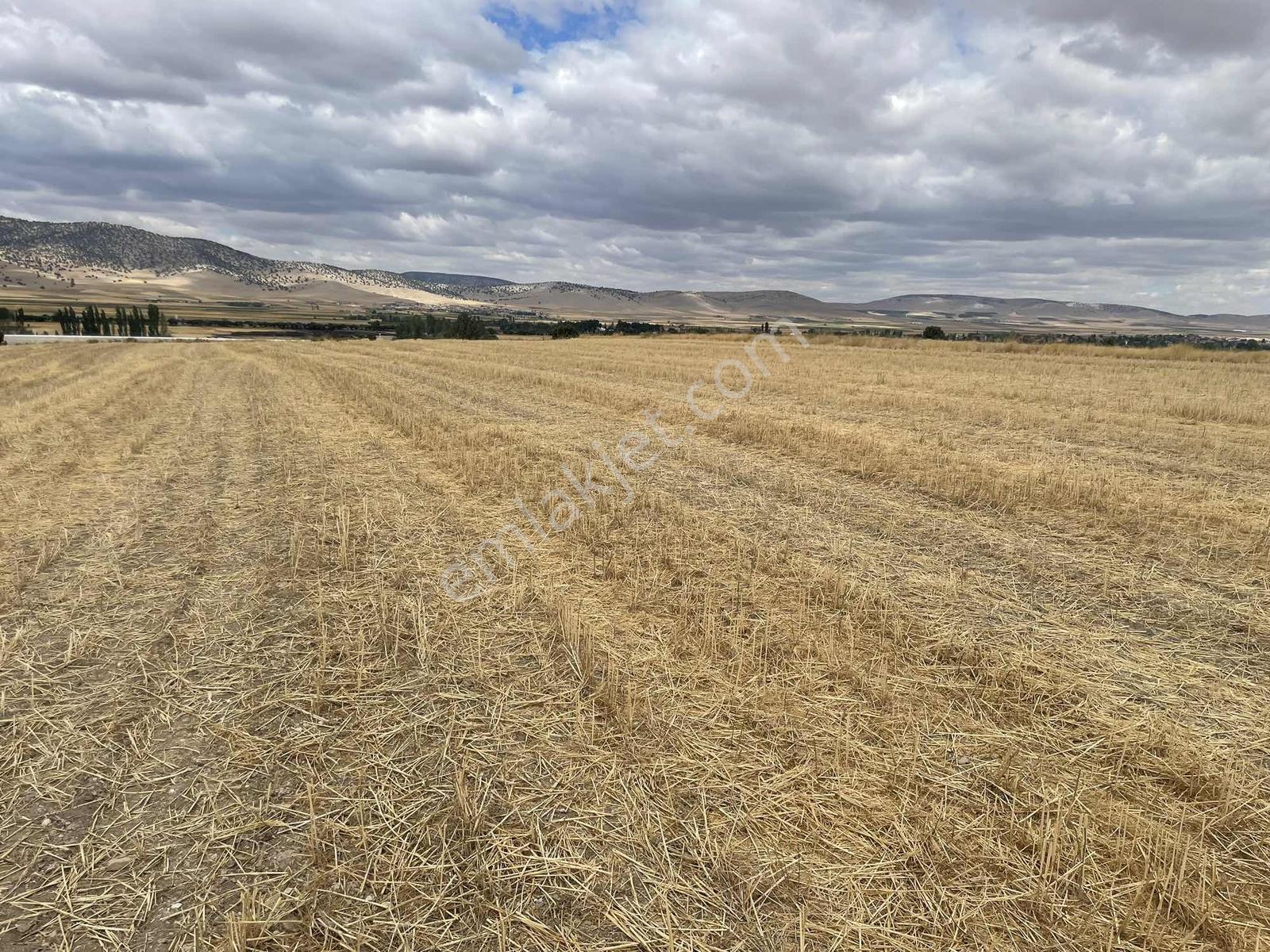 İmar Sınırında 32.600 M2 Dev Arazi Hızlı Tren Ve Ana Yola Yakın — fotoğraf 23