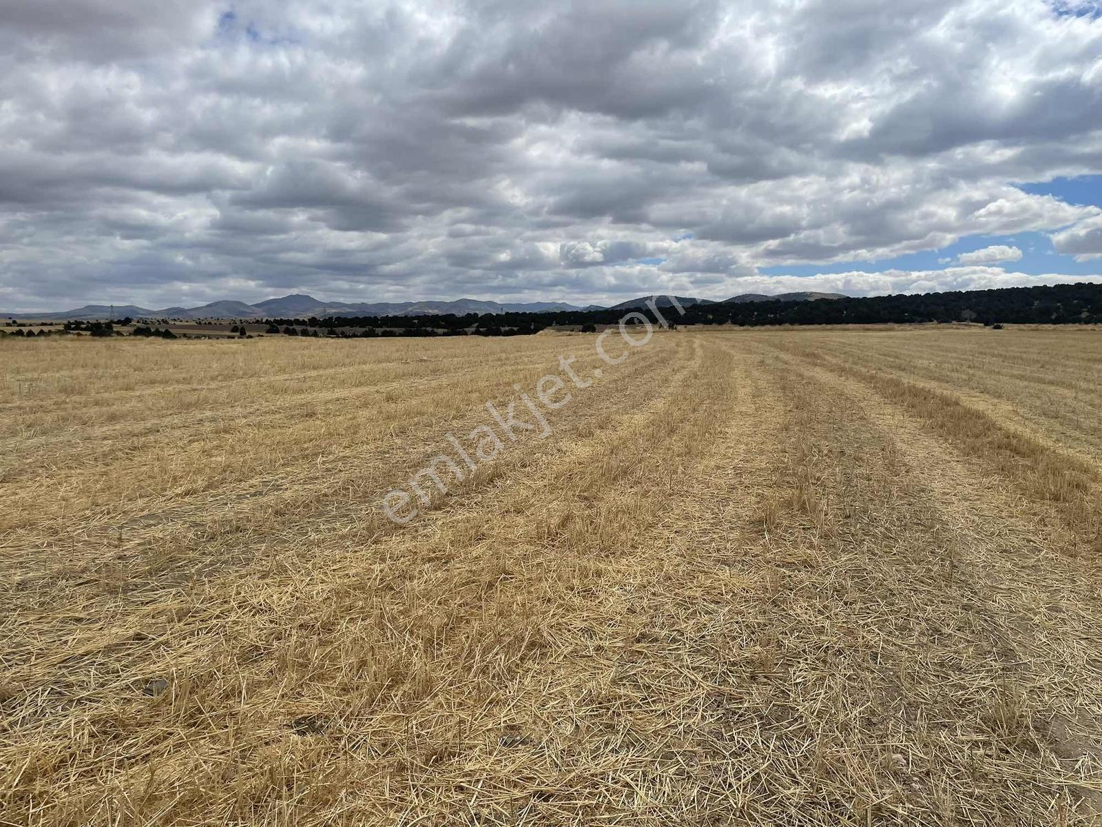 İmar Sınırında 32.600 M2 Dev Arazi Hızlı Tren Ve Ana Yola Yakın — fotoğraf 24