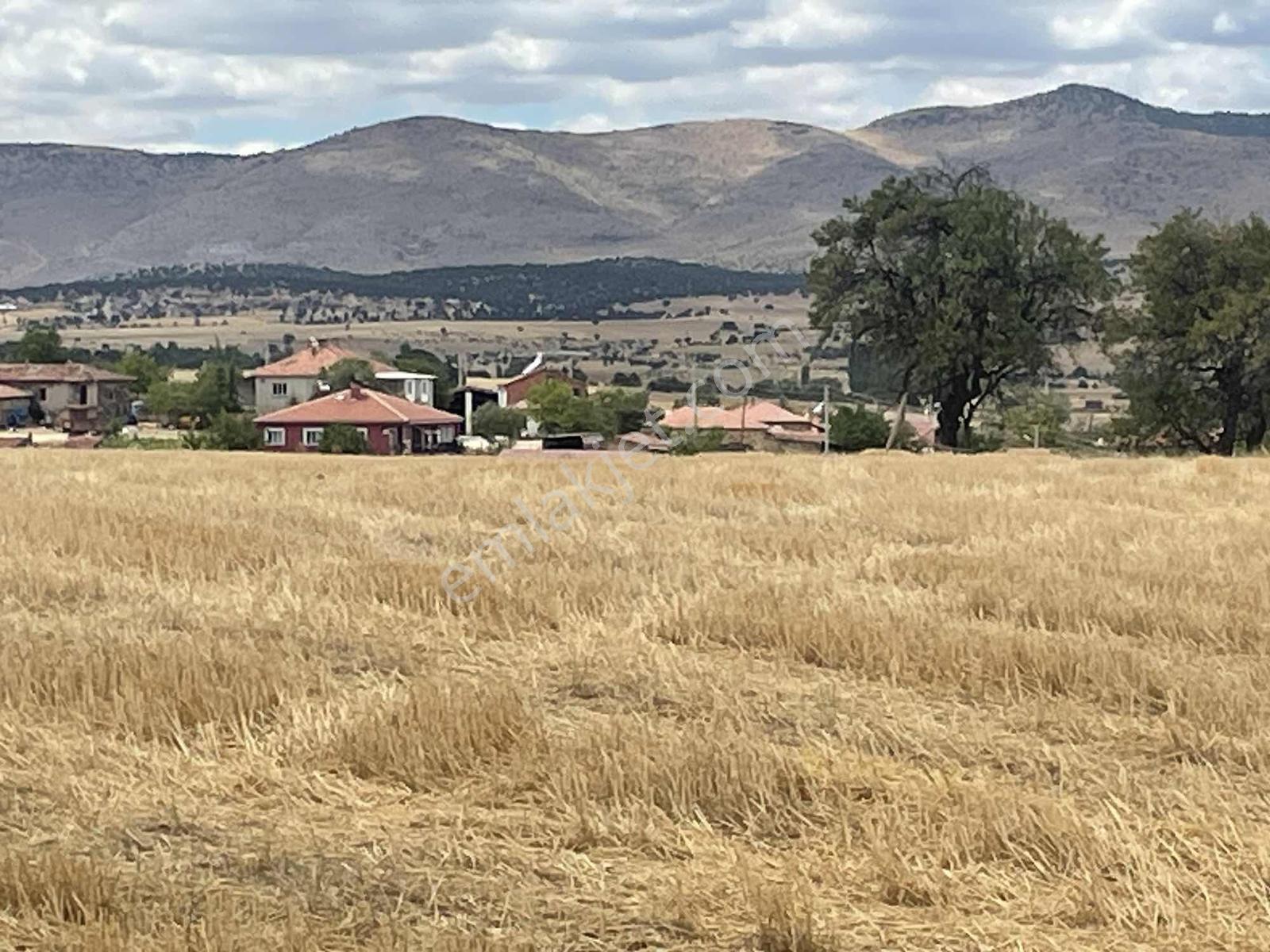 İmar Sınırında 32.600 M2 Dev Arazi Hızlı Tren Ve Ana Yola Yakın — fotoğraf 25