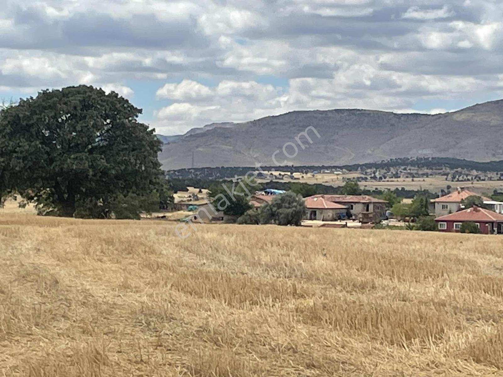 İmar Sınırında 32.600 M2 Dev Arazi Hızlı Tren Ve Ana Yola Yakın — fotoğraf 26