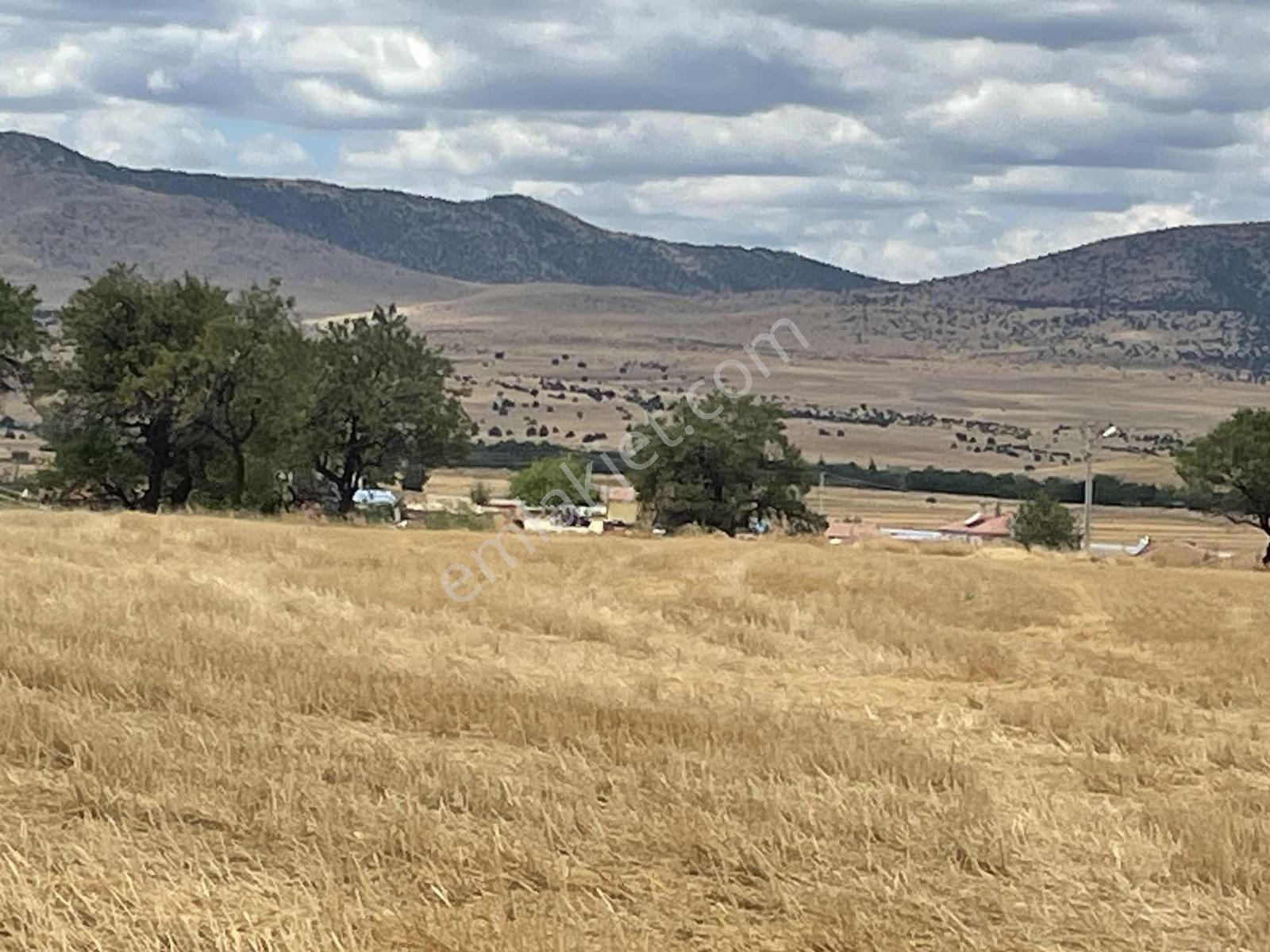 İmar Sınırında 32.600 M2 Dev Arazi Hızlı Tren Ve Ana Yola Yakın — fotoğraf 27