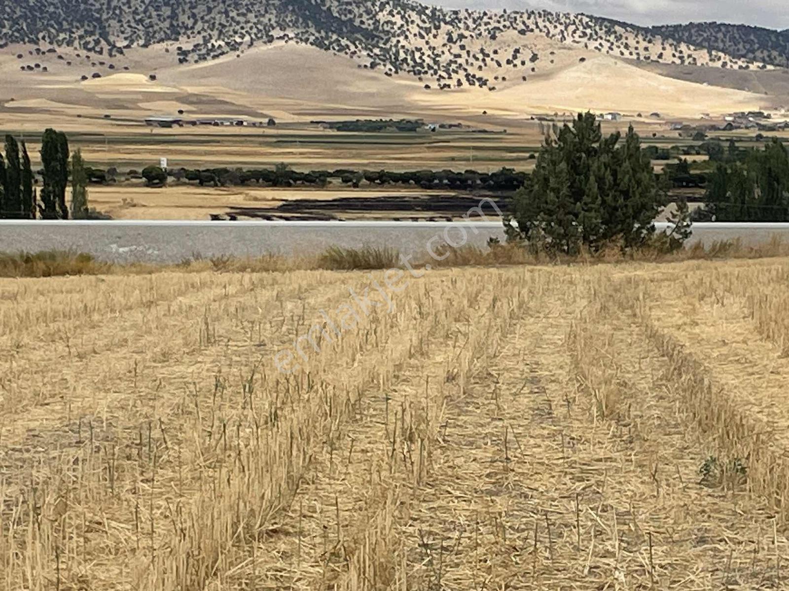 İmar Sınırında 32.600 M2 Dev Arazi Hızlı Tren Ve Ana Yola Yakın — fotoğraf 28