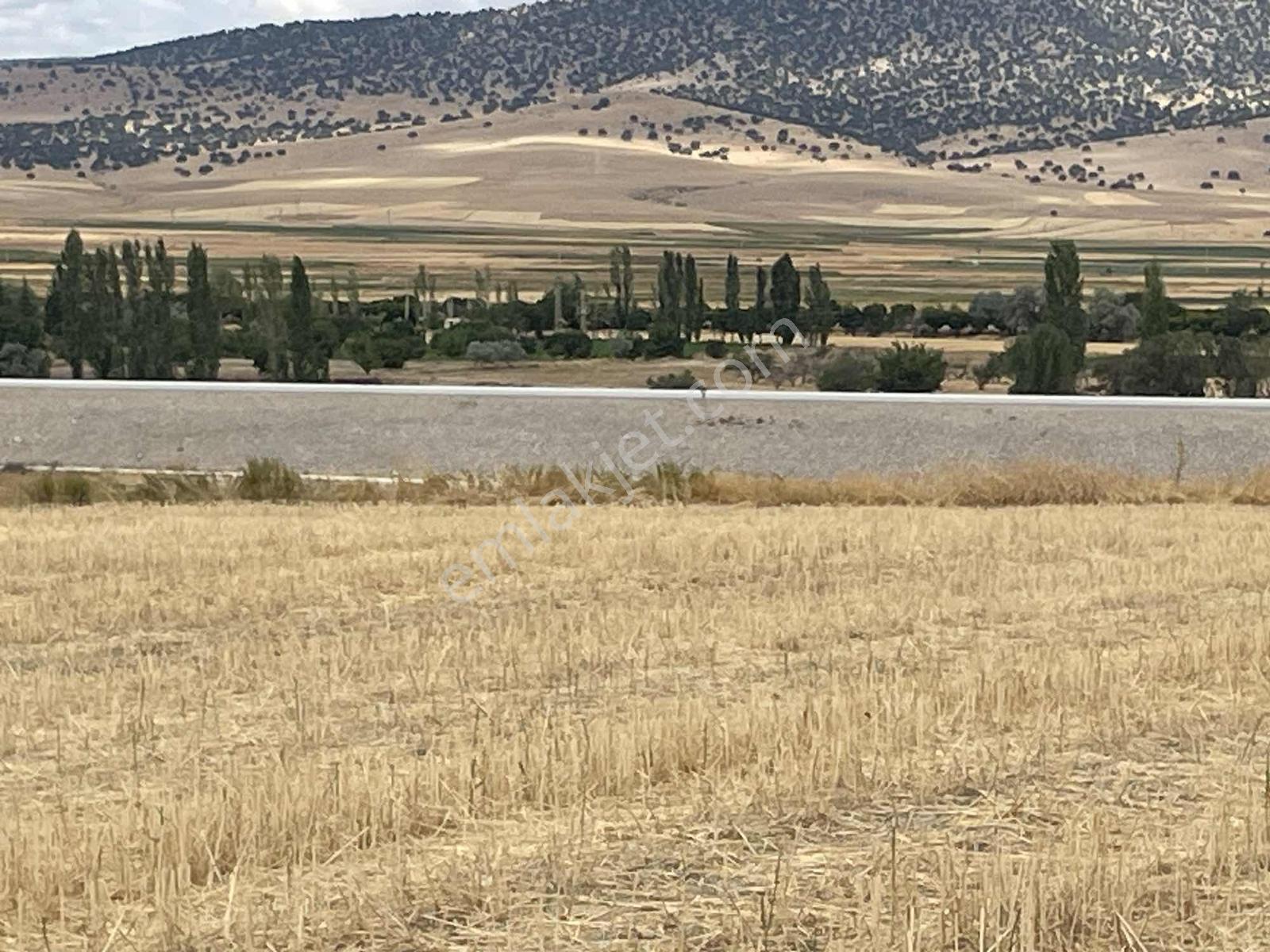 İmar Sınırında 32.600 M2 Dev Arazi Hızlı Tren Ve Ana Yola Yakın — fotoğraf 29
