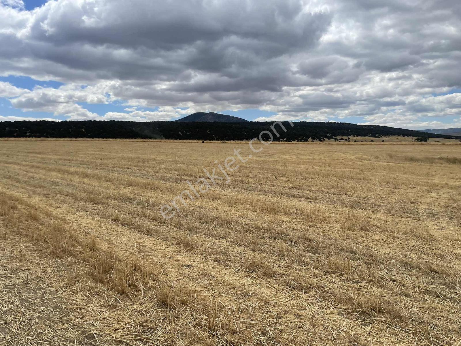 İmar Sınırında 32.600 M2 Dev Arazi Hızlı Tren Ve Ana Yola Yakın — fotoğraf 30