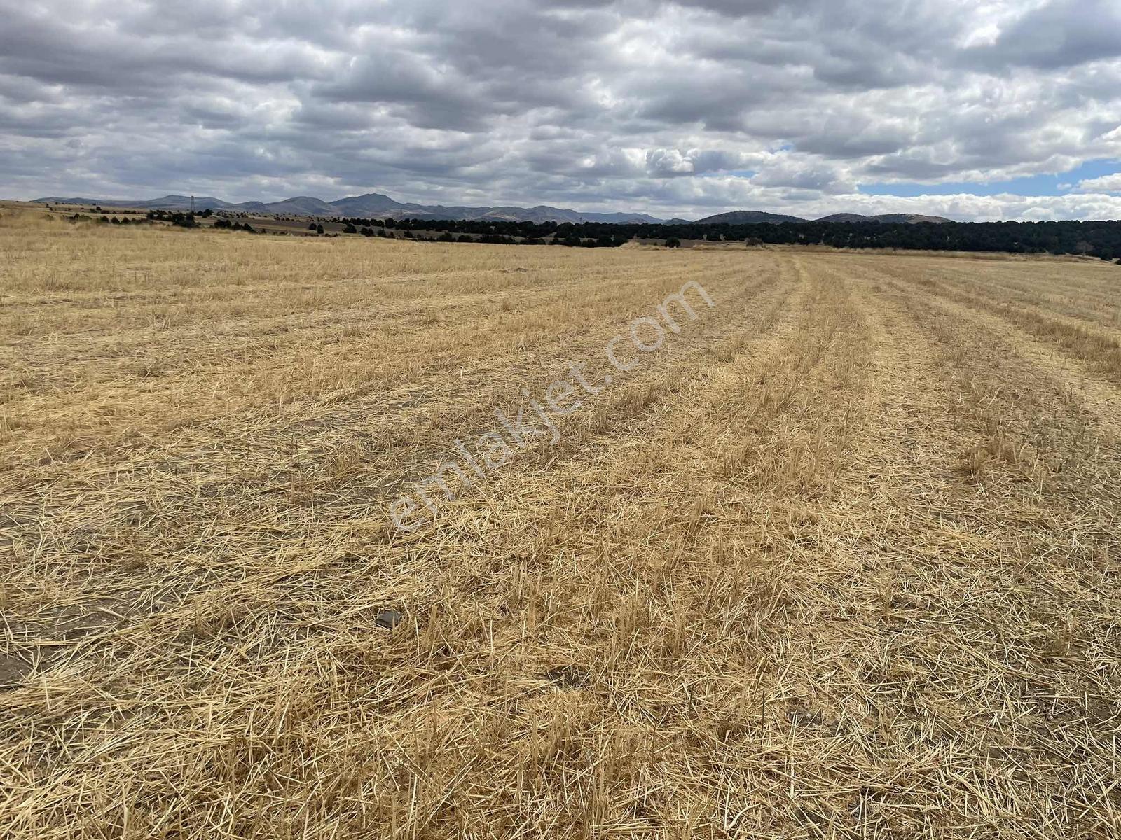 İmar Sınırında 32.600 M2 Dev Arazi Hızlı Tren Ve Ana Yola Yakın — fotoğraf 31